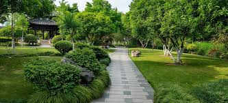 M2K Olive Green Floors